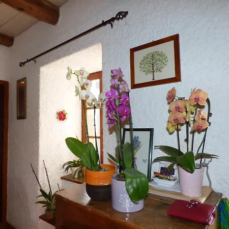 La Bastide * Colombiès